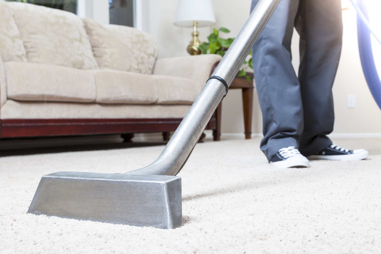 How Often Should Carpet Be Cleaned?