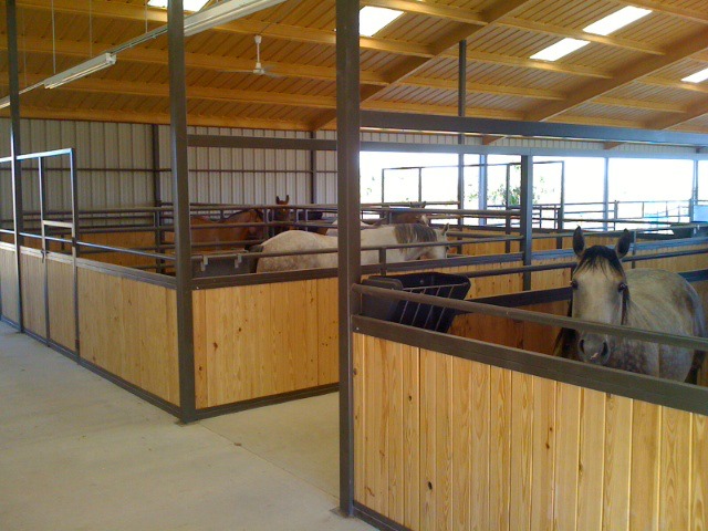 Horse Stalls